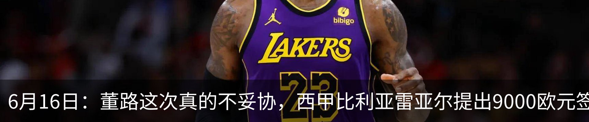新闻动态
